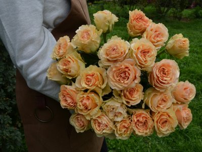 Букет из 25 роз "Ghobi"