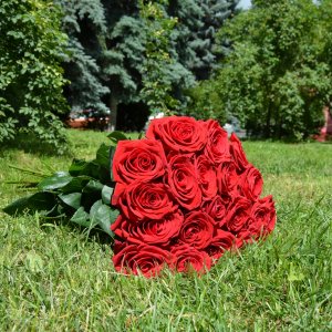 Букет из 25 красных роз фридом 70см