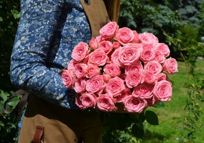 Букет из 19 розовых кустовых роз 50 см