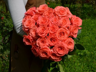 Букет из 25 роз "Амстердам"