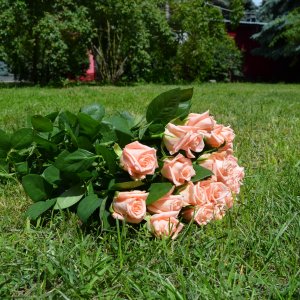 Букет из 19 нежно-розовых роз 50 см