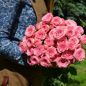 Букет из 19 розовых кустовых роз 50 см