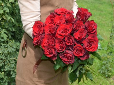 Букет из 19 темно-красных роз